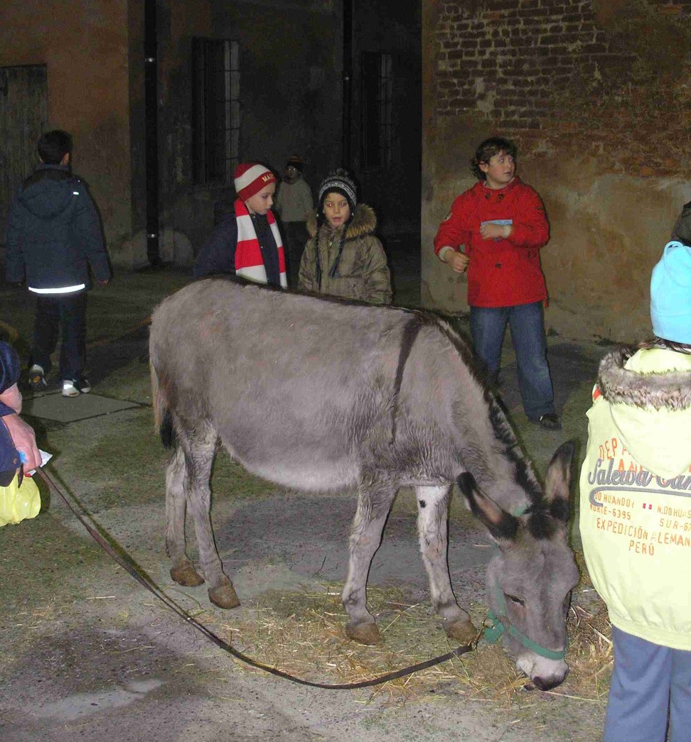 L'asinello festeggiato dai bimbi nel cortile ...